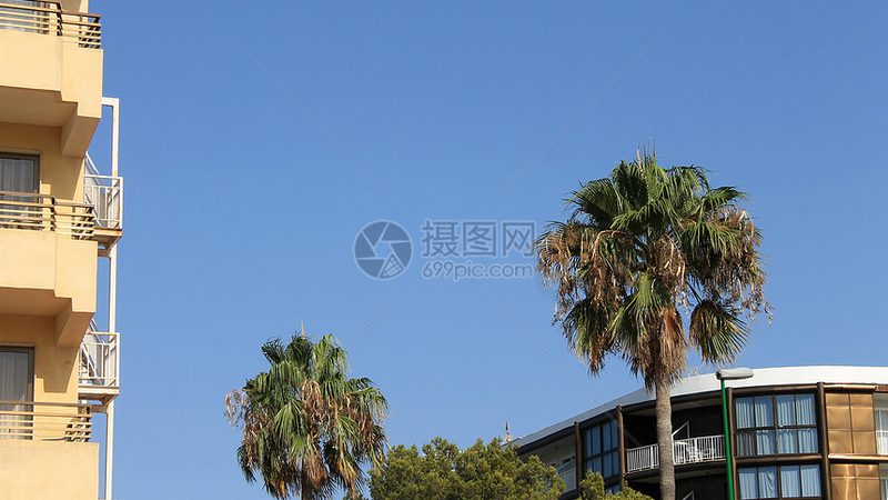 小标题：一、亲子游背包，选对尺寸是关键